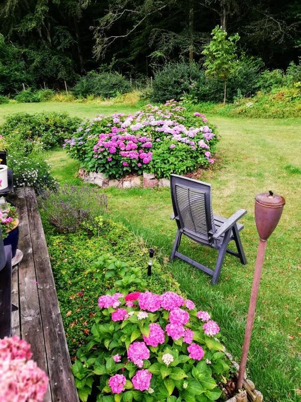 The Foresters House- Idyllic Tranquility- Non Smokers Only Store Heddinge Exteriör bild