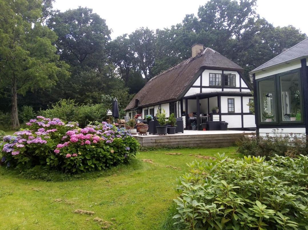 The Foresters House- Idyllic Tranquility- Non Smokers Only Store Heddinge Exteriör bild