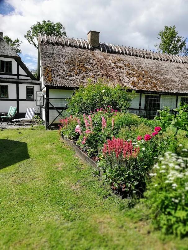 The Foresters House- Idyllic Tranquility- Non Smokers Only Store Heddinge Exteriör bild
