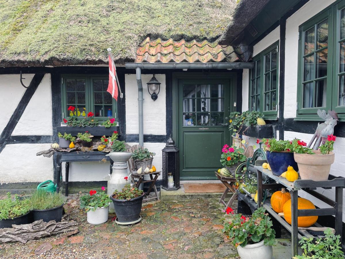 The Foresters House- Idyllic Tranquility- Non Smokers Only Store Heddinge Exteriör bild