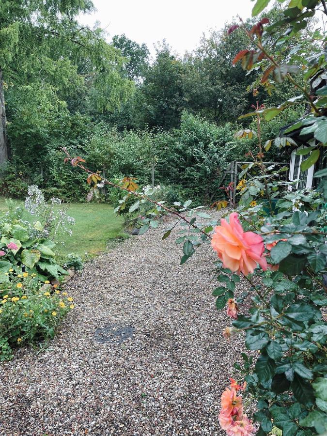 The Foresters House- Idyllic Tranquility- Non Smokers Only Store Heddinge Exteriör bild