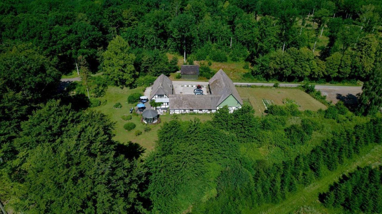 The Foresters House- Idyllic Tranquility- Non Smokers Only Store Heddinge Exteriör bild